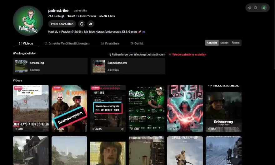 TikTok-Profil @palmstrike
